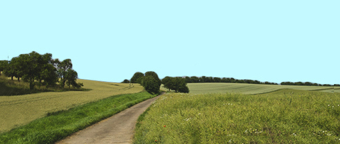 logiciels : simples, efficaces et...